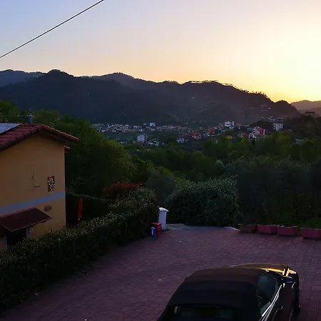 Luce Stellata Serralta