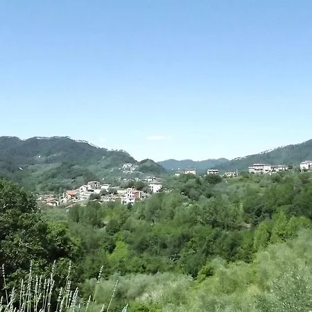 Luce Stellata * Serralta